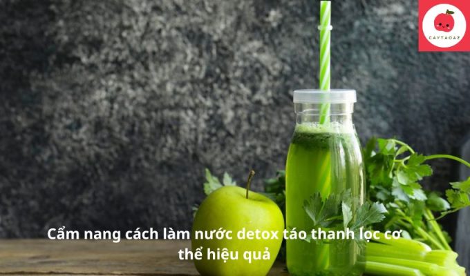 Cẩm nang cách làm nước detox táo thanh lọc cơ thể hiệu quả