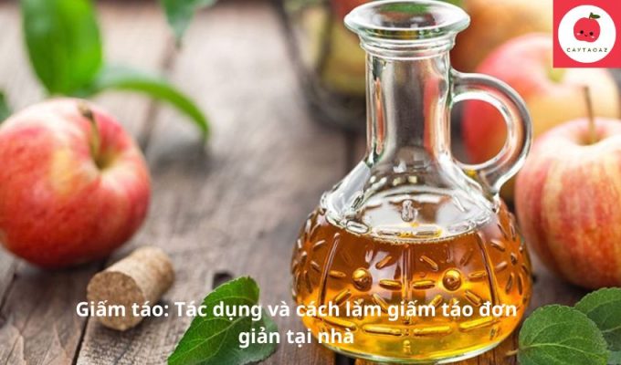 Giấm táo: Tác dụng và cách làm giấm táo đơn giản tại nhà