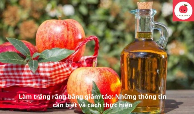 Làm trắng răng bằng giấm táo: Những thông tin cần biết và cách thực hiện