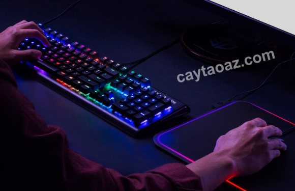 The Ultimate Guide to Premium Mechanical Keyboards: Unleashing the Best Typing Experience