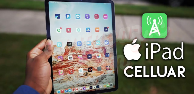 iPad with Cellular vs WiFi: Which One Should You Choose in 2024?