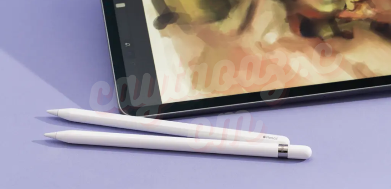 The Best Stylus for iPad 2024: Top Picks for Creators, Professionals, and Students