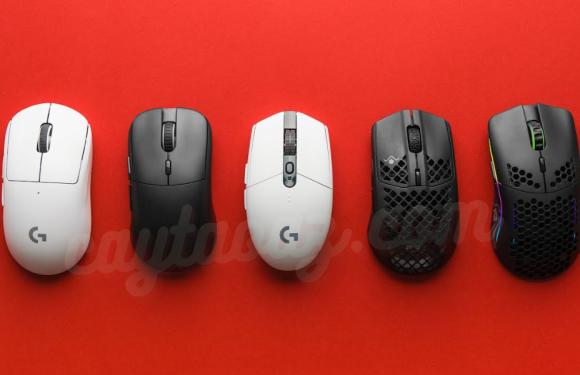 The Best Wireless Mouse for Laptops in 2024: Comfort, Precision, and Portability