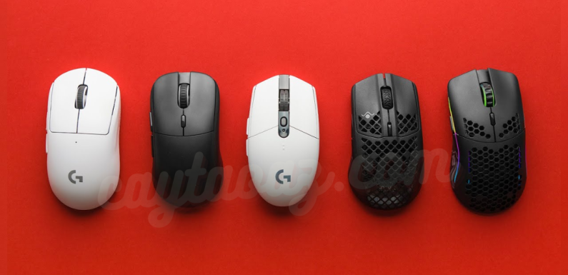 The Best Wireless Mouse for Laptops in 2024: Comfort, Precision, and Portability