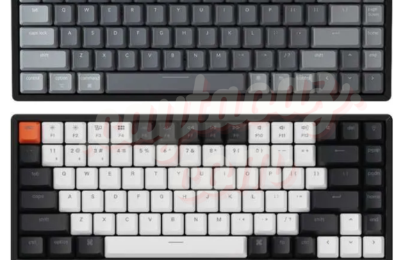 The Complete Guide to Wired Mechanical Keyboards: Top Picks and Key Benefits for 2024