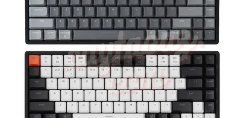 The Complete Guide to Wired Mechanical Keyboards: Top Picks and Key Benefits for 2024